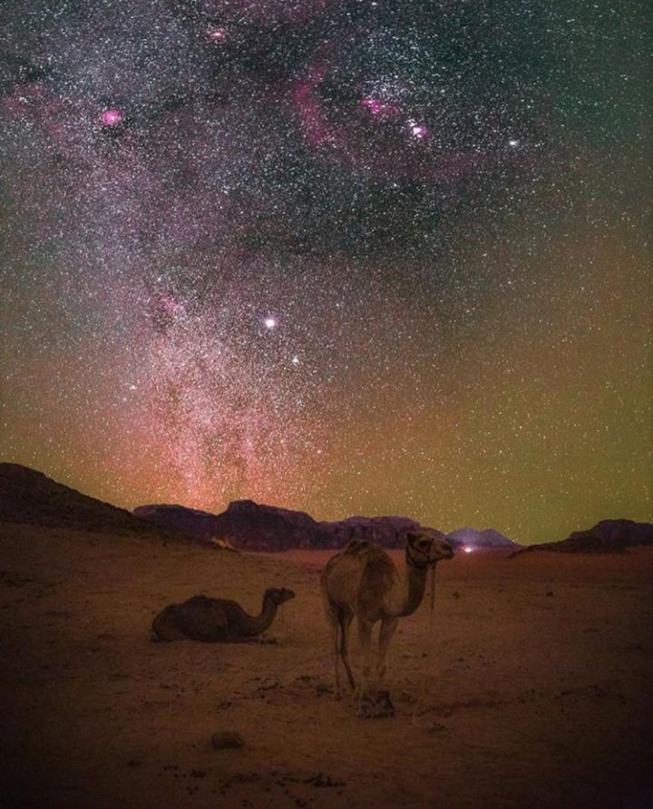 Bubble Tent & Luxury Camp Hotel Wadi Rum Bagian luar foto